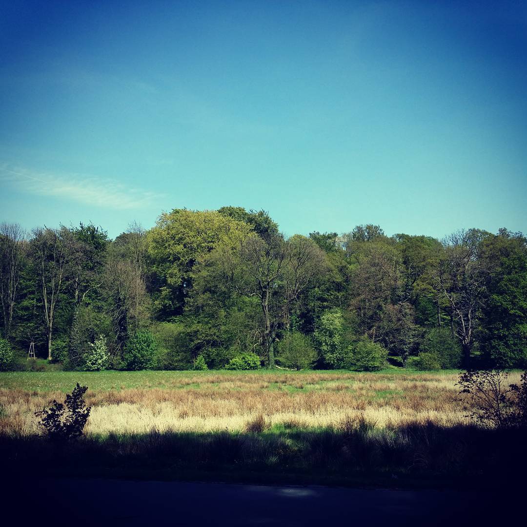 06.05.2016