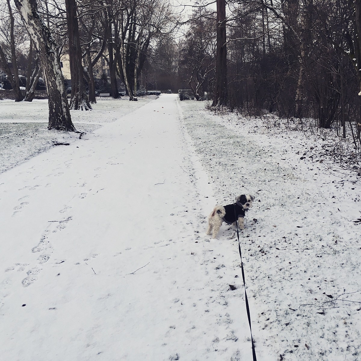 07.01.2017