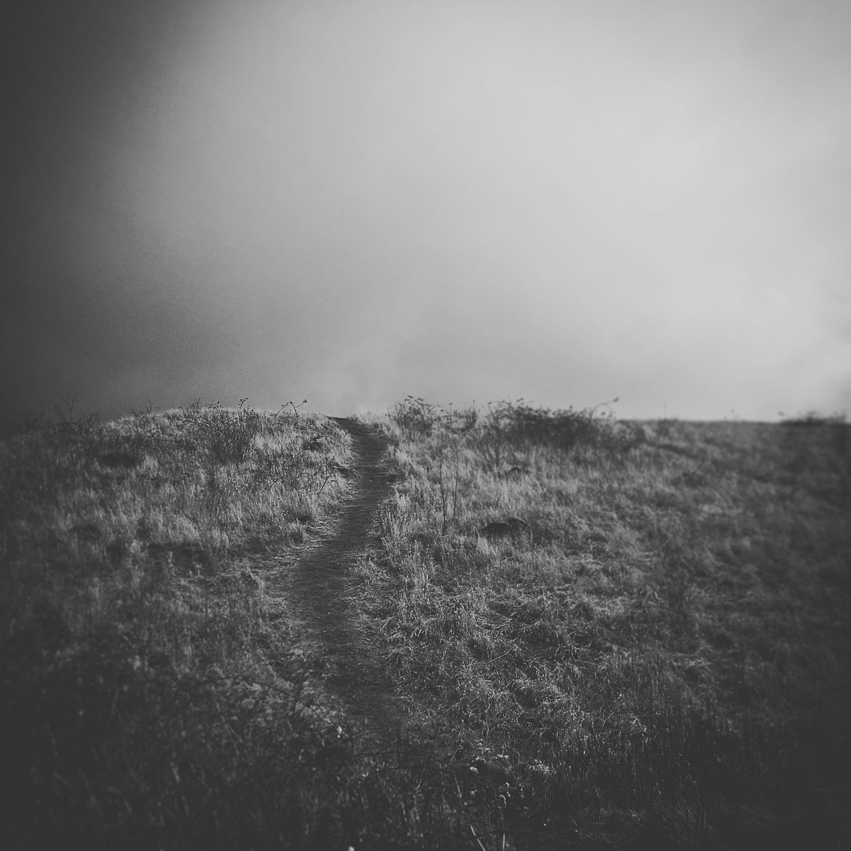 13.01.2017