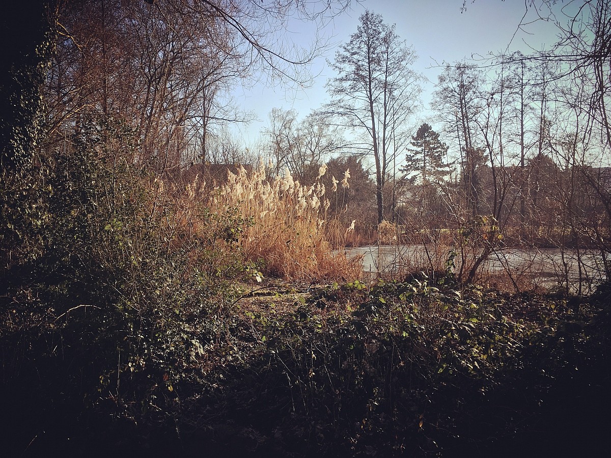 26.01.2017