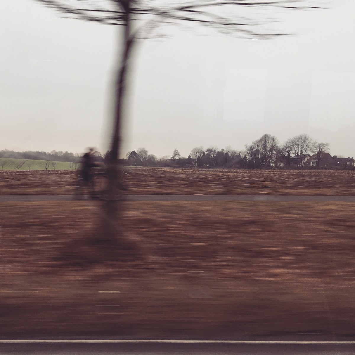 31.01.2017