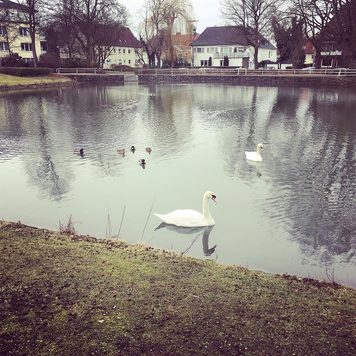 04.02.2017
