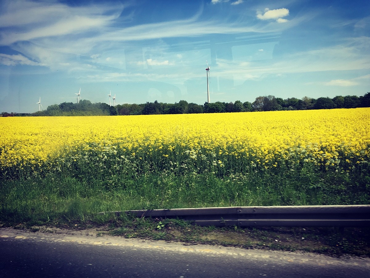 11.05.2017