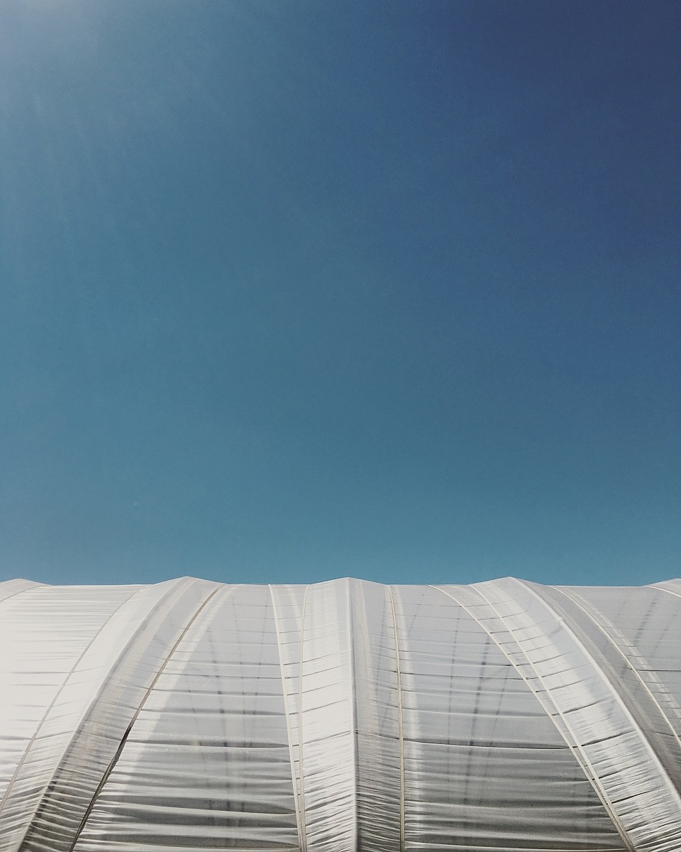 01.07.2018