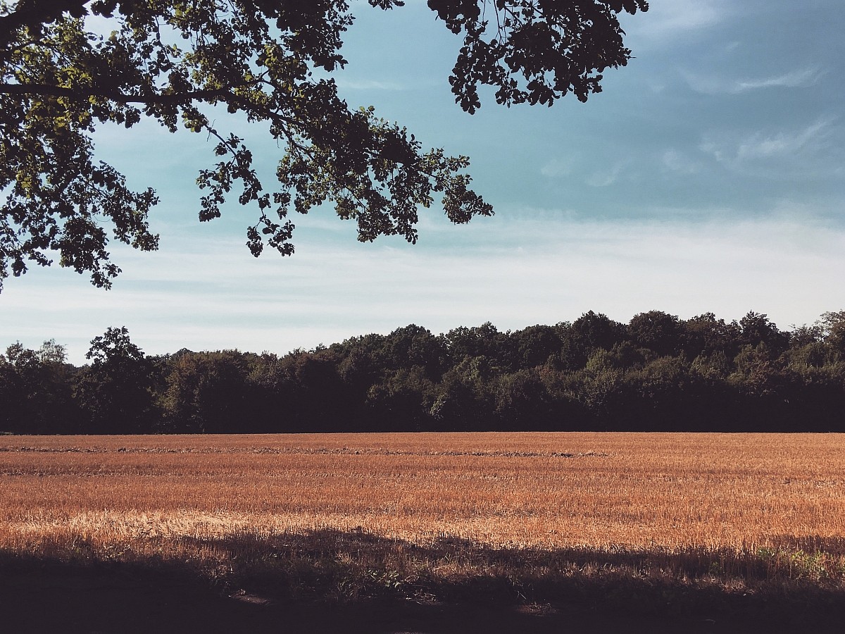 18.08.2018 II
