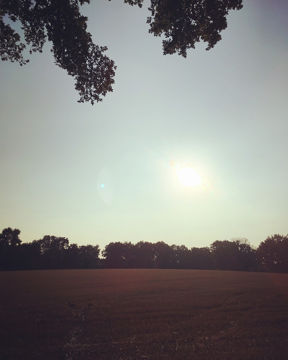 19.08.2018 II