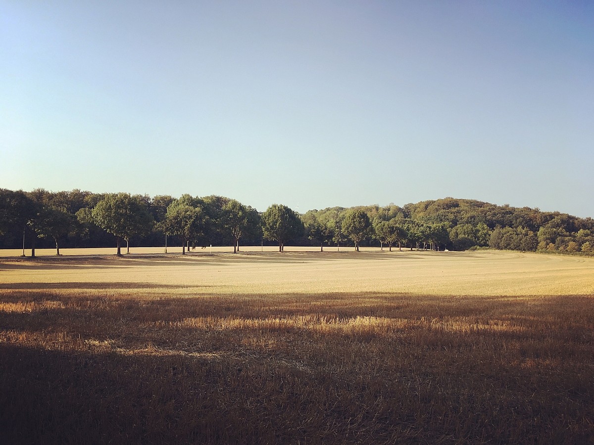 19.08.2018 III