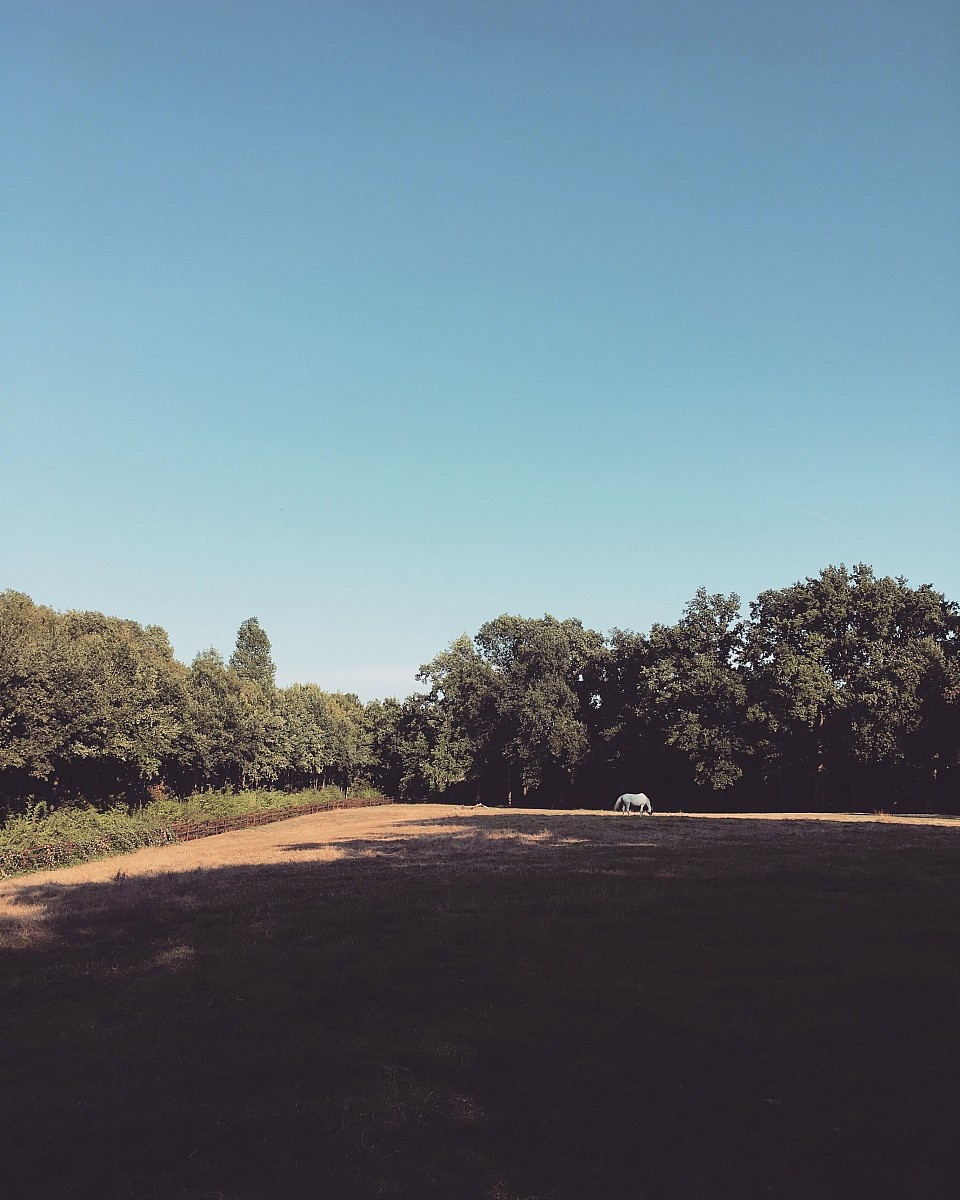 19.08.2018 VI