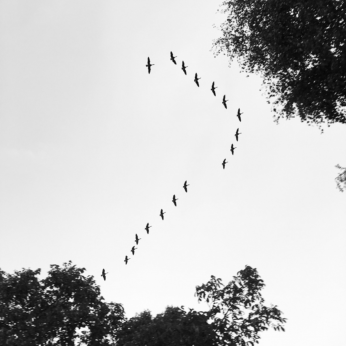 26.08.2018 V