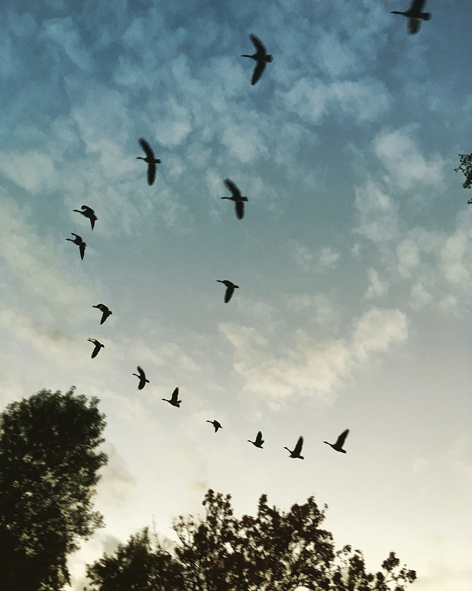 22.10.2018