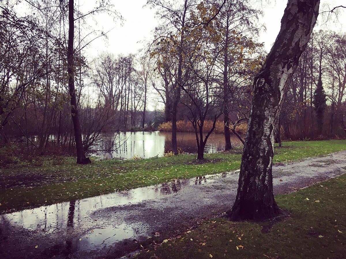 09.12.2018