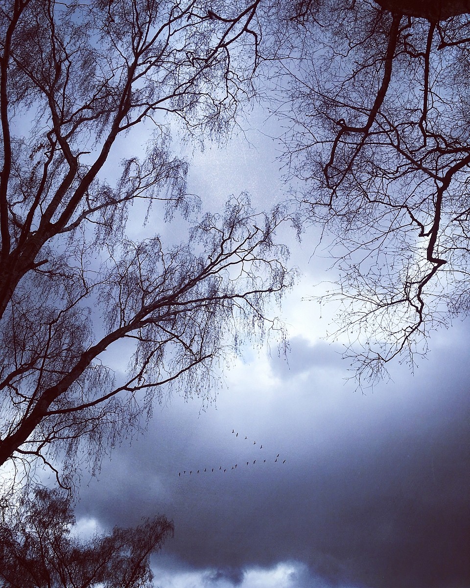 22.12.2018