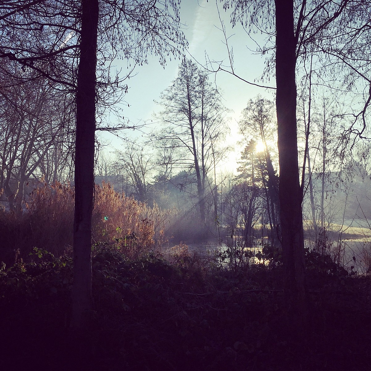 18.01.2019