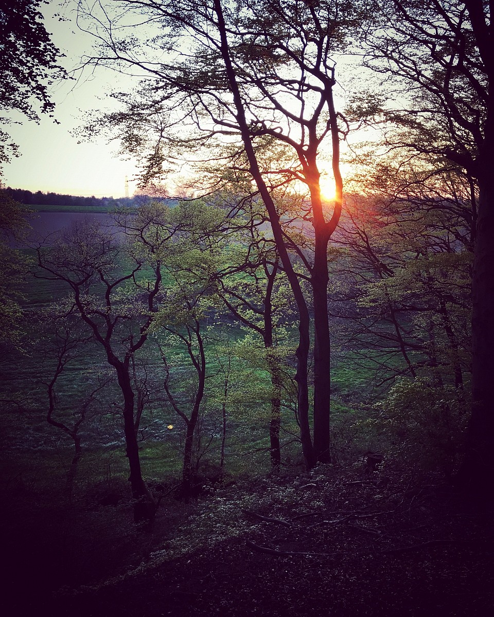 21.04.2019