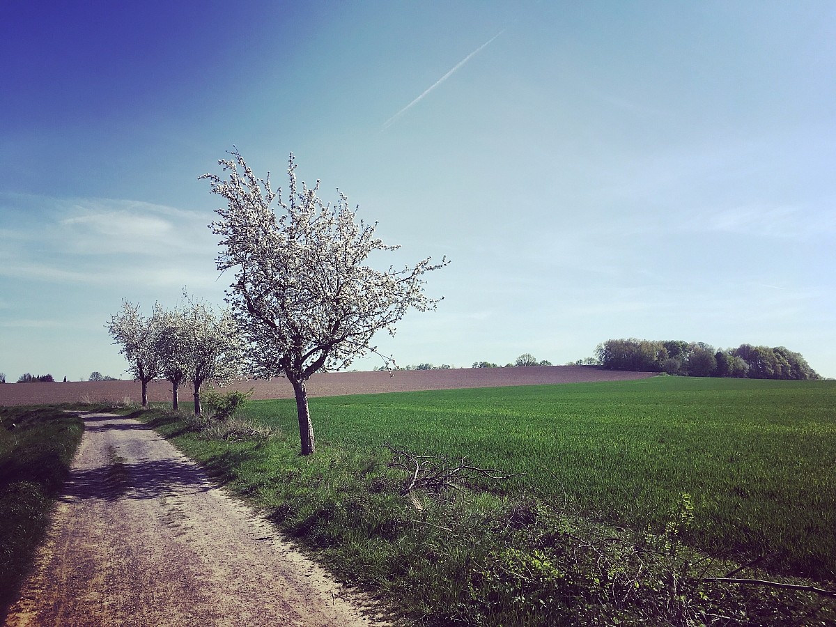22.04.2019 III