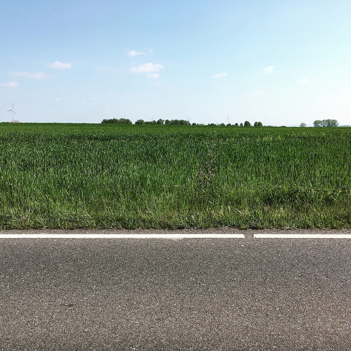 30.04.2019