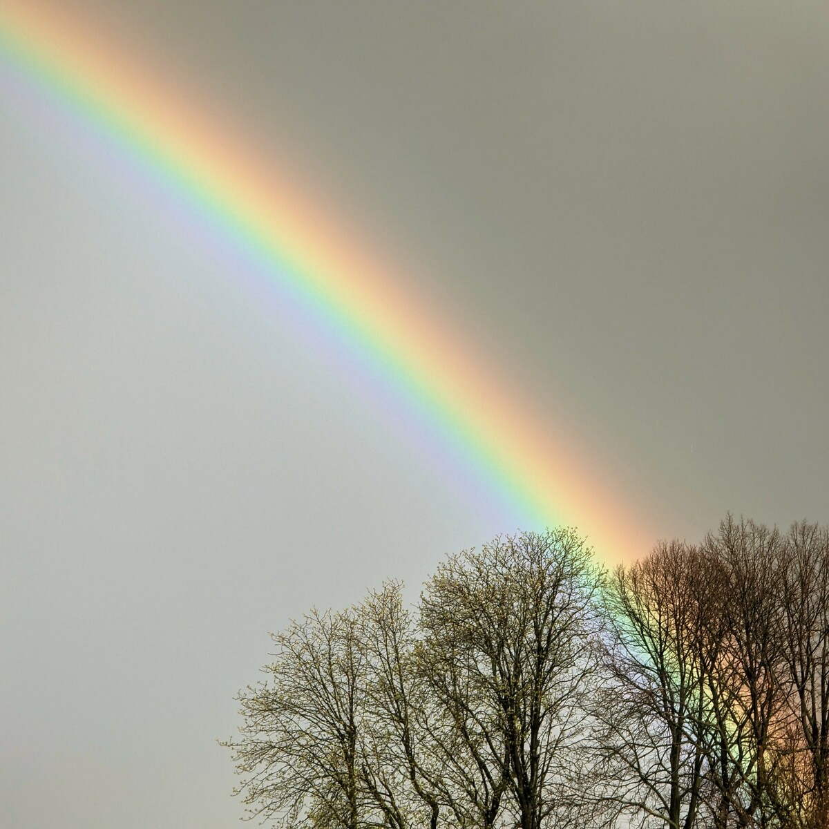 30.03.2023