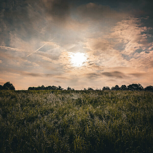 07.05.2025 II