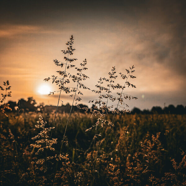 17.05.2025 III