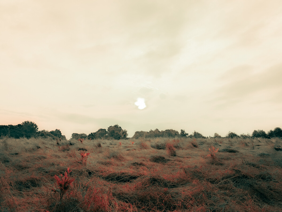 01.06.2025 II