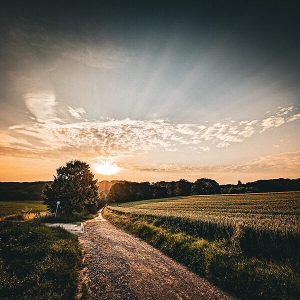 13.06.2025, 6:21 Uhr