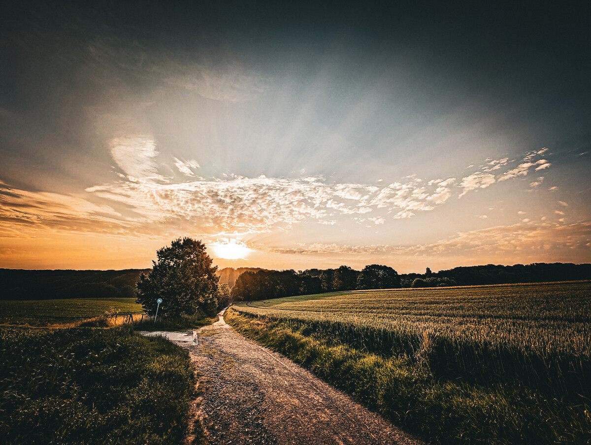 13.06.2025, 6:21 Uhr