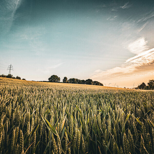 13.06.2025, 6:28 Uhr