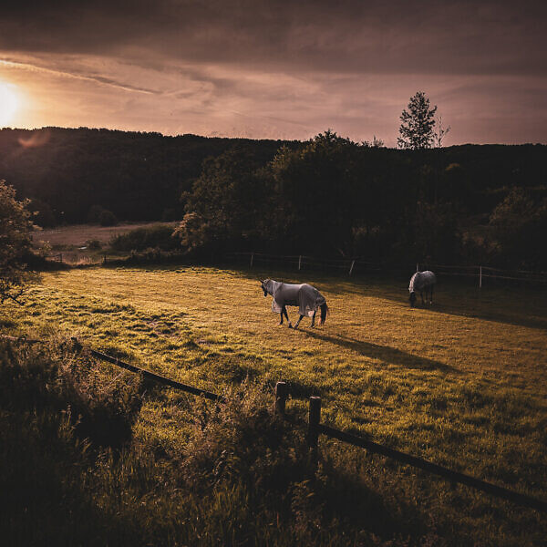 14.06.2025, 6:34 Uhr