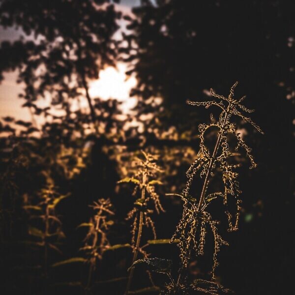 17.06.2025, 6:33 Uhr
